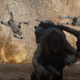 Image for article titled So You Want To Join The Empire: What We Learned About Those Rogue One Troopers in 13 Pictures